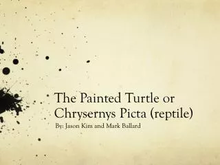 The Painted Turtle or Chrysernys Picta (reptile)