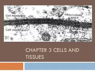 chapter 3 cells and tissues