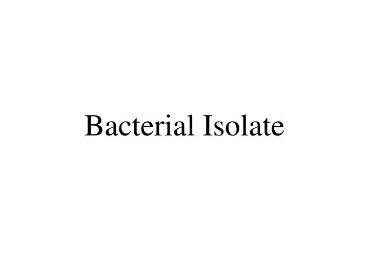 bacterial isolate