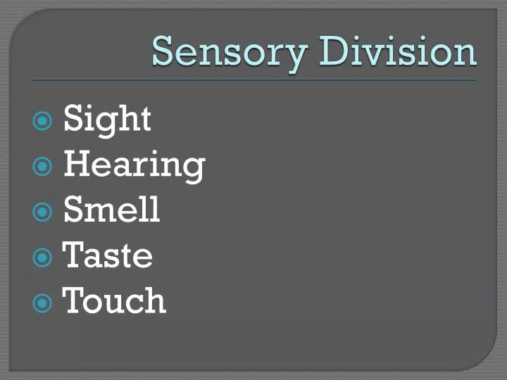 sensory division