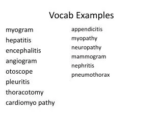 vocab examples
