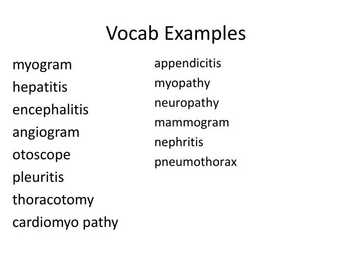 vocab examples