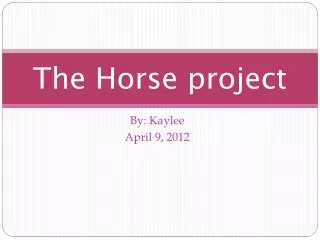 The Horse project