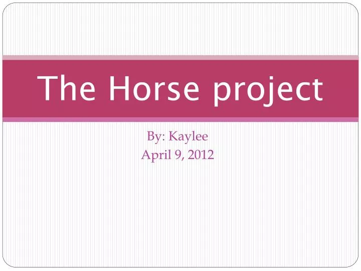 the horse project