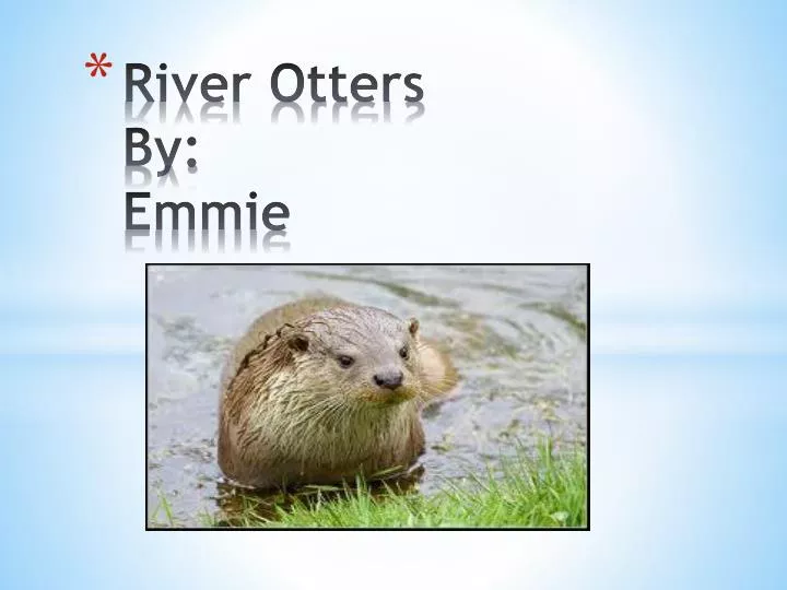 river otters by emmie