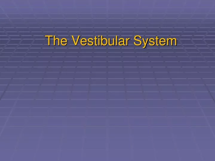 the vestibular system