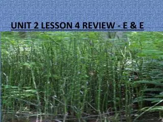 UNIT 2 LESSON 4 REVIEW - E &amp; E