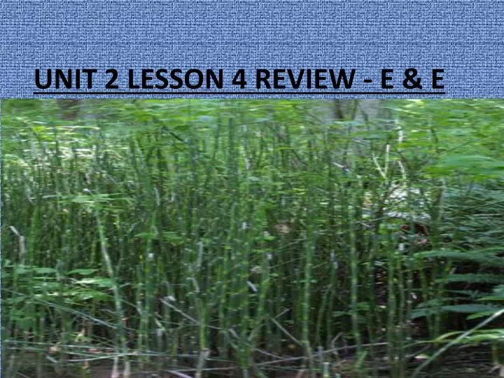 unit 2 lesson 4 review e e