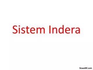 sistem indera