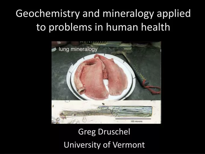 geochemistry and mineralogy applied to problems in human health
