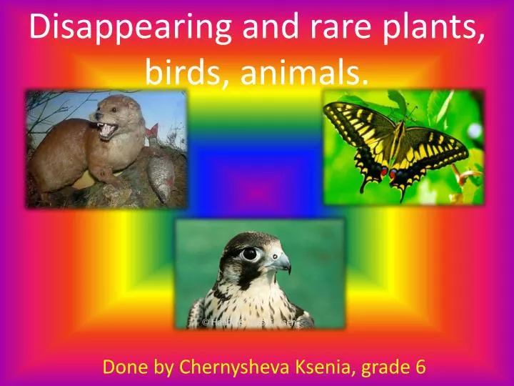 disappearing and rare plants birds animals