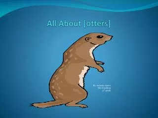 All About [otters]