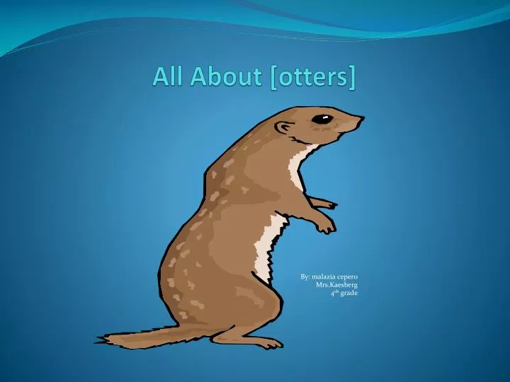 all about otters