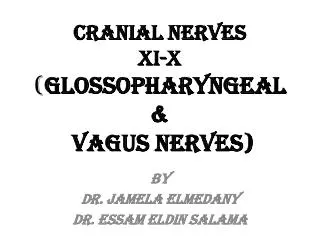 Cranial Nerves XI-X ( Glossopharyngeal &amp; Vagus Nerves)