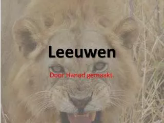 leeuwen