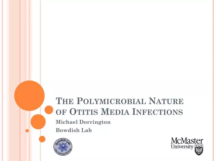 the polymicrobial nature of otitis media infections