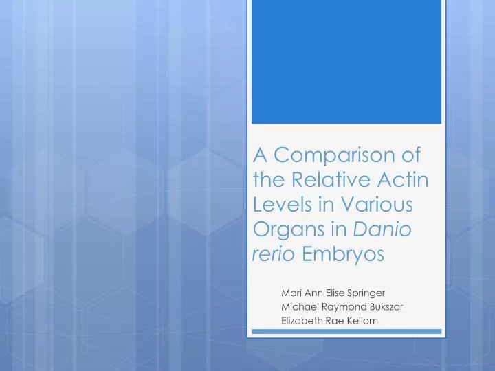 a comparison of the relative actin levels in various organs in danio rerio embryos