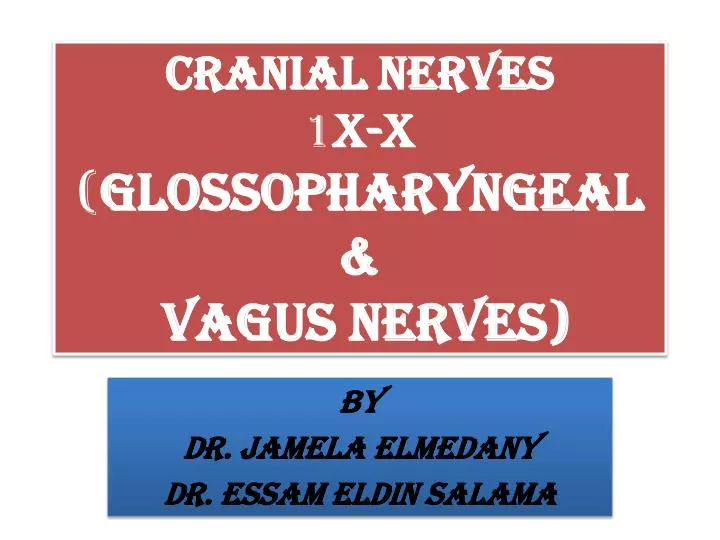 cranial nerves 1 x x glossopharyngeal vagus nerves