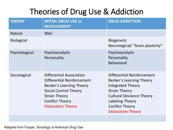 theories of drug use addiction