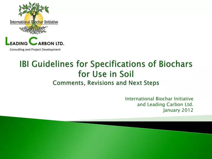 ibi guidelines for specifications of biochars for use in soil comments revisions and next steps