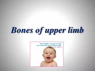 Bones of upper limb