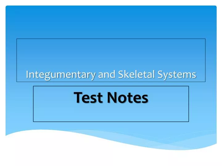 integumentary and skeletal systems