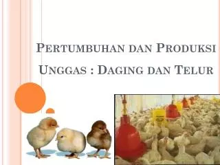 Pertumbuhan dan Produksi Unggas : Daging dan Telur