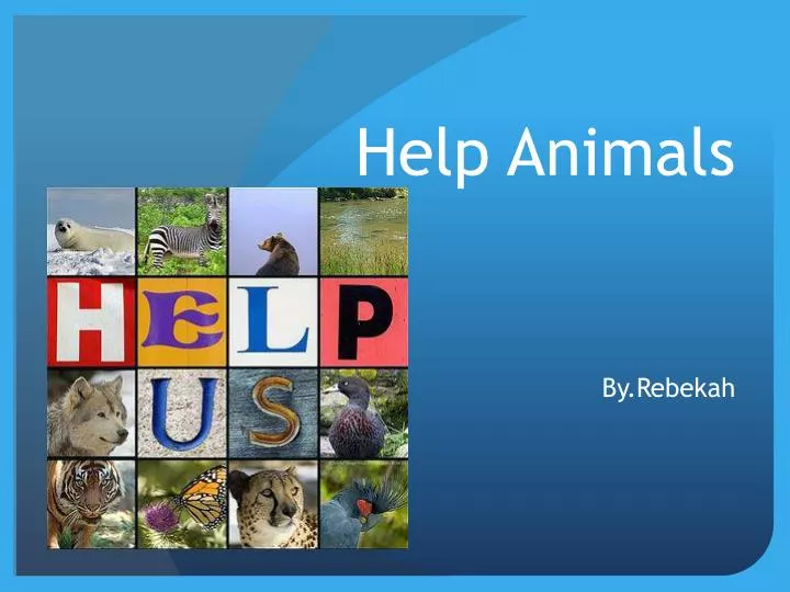 help animals