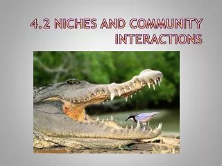 4.2 Niches and Community Interactions