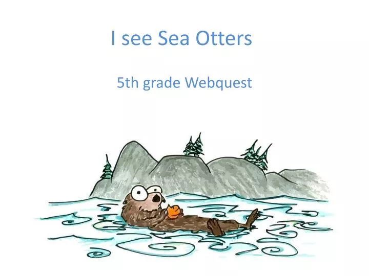 i see sea otters