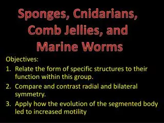 Objectives: Relate the form of specific structures to their function within this group.