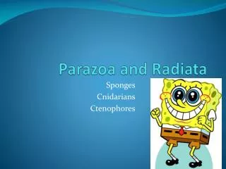Parazoa and Radiata