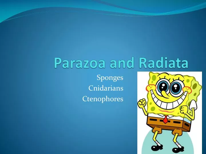 parazoa and radiata