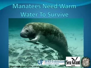 Manatees Need Warm Water To Survive