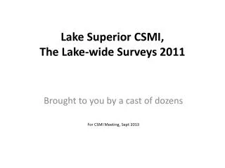 Lake Superior CSMI, The Lake-wide Surveys 2011