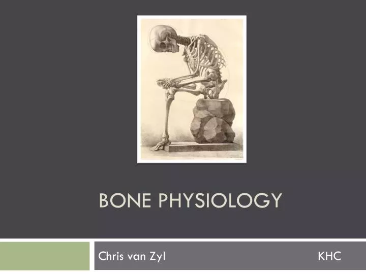 bone physiology