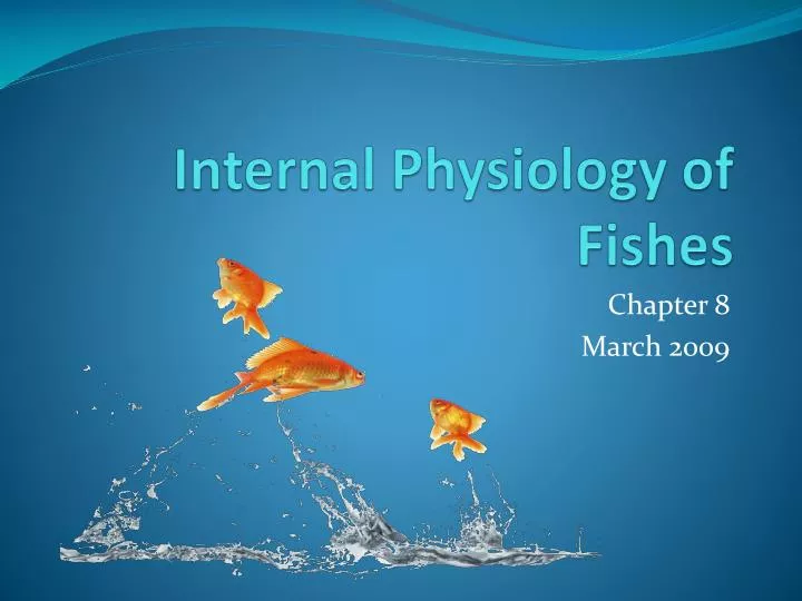 internal physiology of fishes