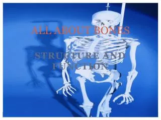 ALL ABOUT BONES