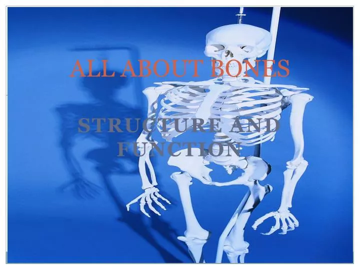 all about bones
