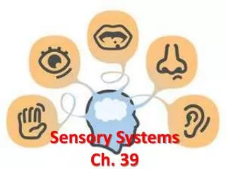Sensory Systems Ch. 39