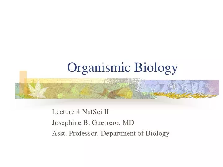 organismic biology
