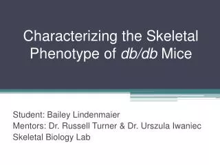 Characterizing the Skeletal Phenotype of db/db Mice