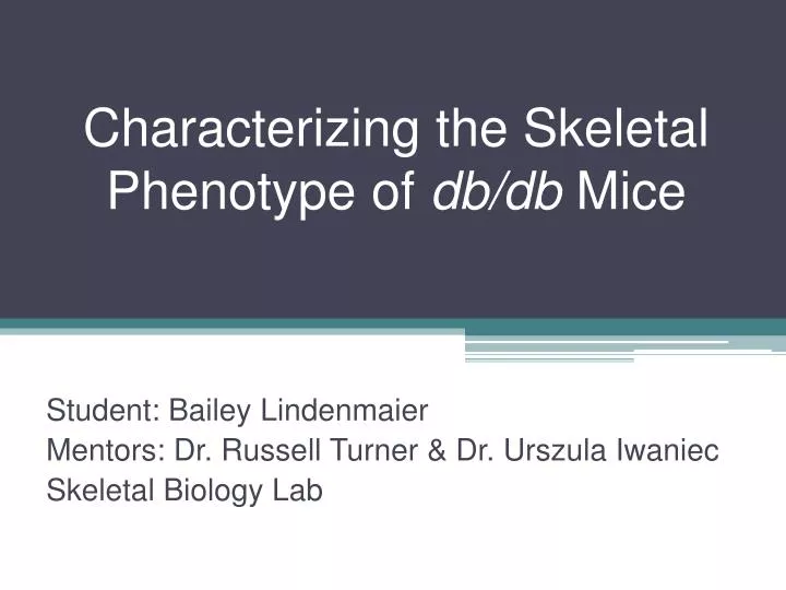 characterizing the skeletal phenotype of db db mice