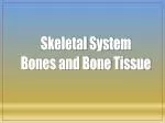 Understanding the Skeletal System: Structure, Function, and Types of Bone Tissue - slide 1