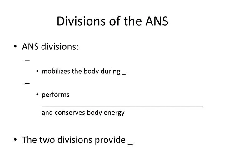 divisions of the ans