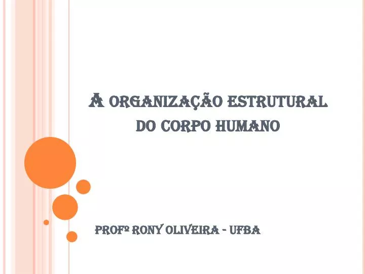 a organiza o estrutural do corpo humano