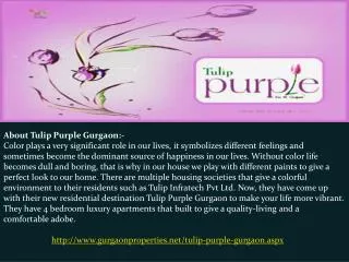 Tulip Purple in Gurgaon