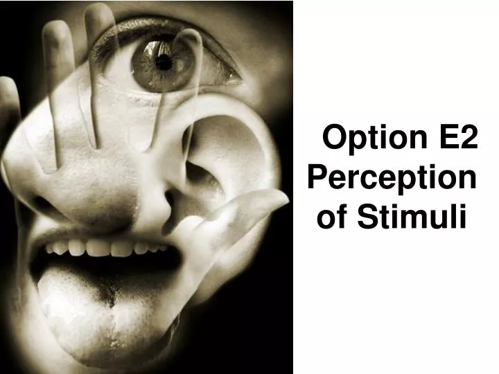 option e2 perception of stimuli