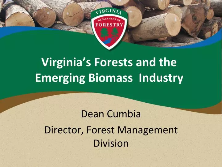 virginia s forests and the emerging biomass industry