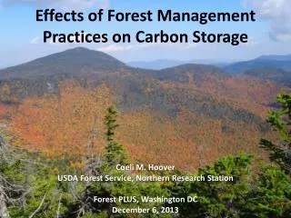 Effects of Forest Management Practices on Carbon Storage